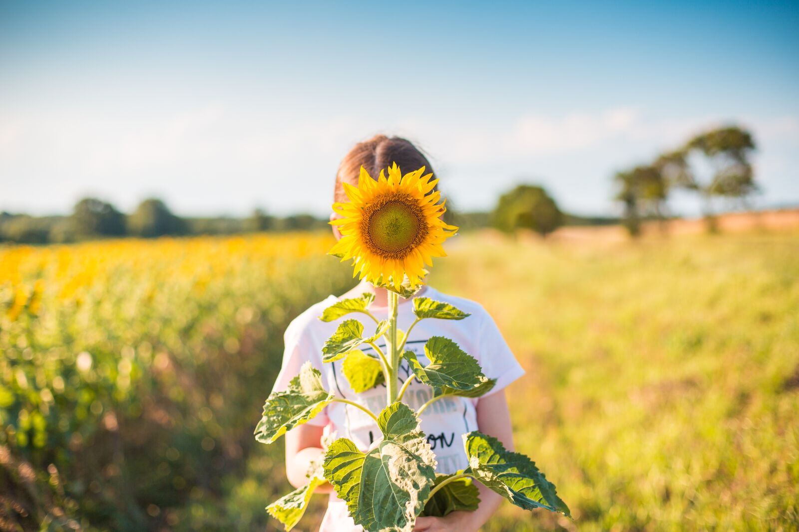 Canon EF 50mm F1.4 USM sample photo. Girls, the scenery, wallpaper photography