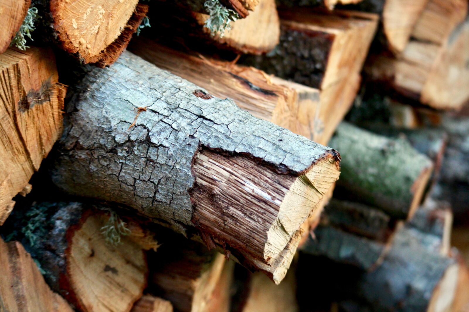 Canon EOS M sample photo. Wood, firewood, winter photography