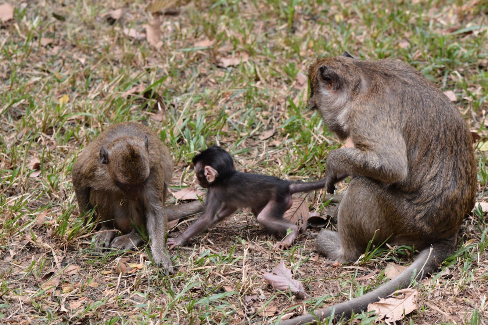 Nikon D7100 sample photo