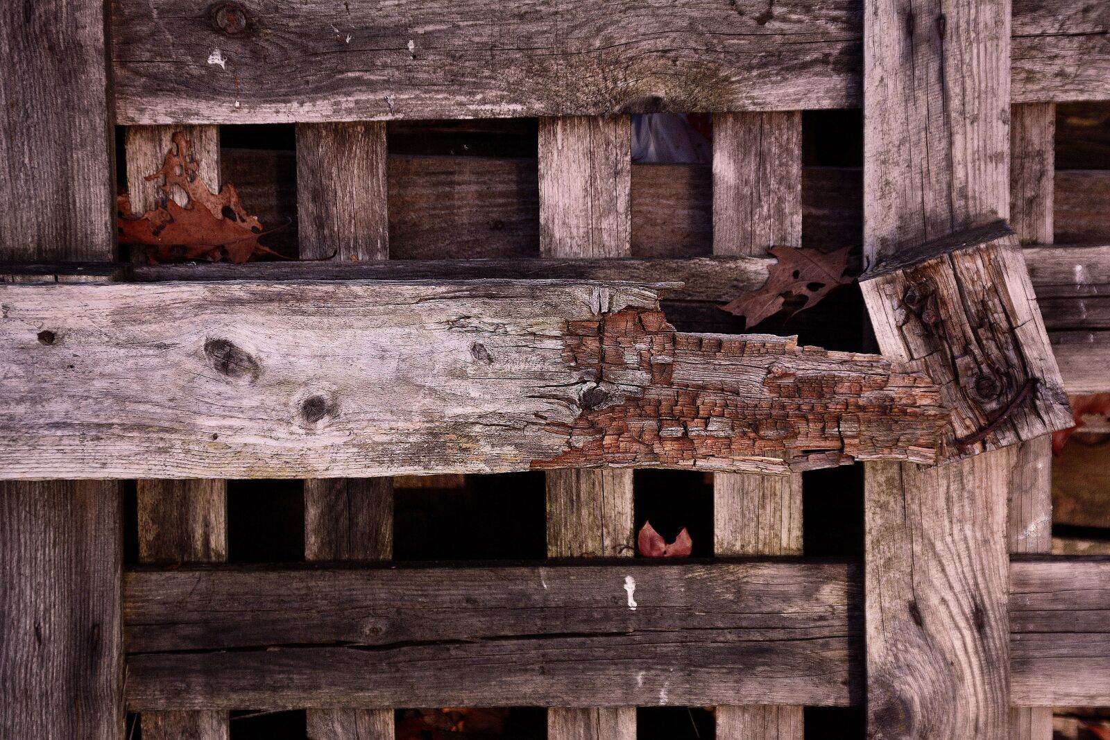 Nikon D7100 sample photo. Wood, crate, old photography