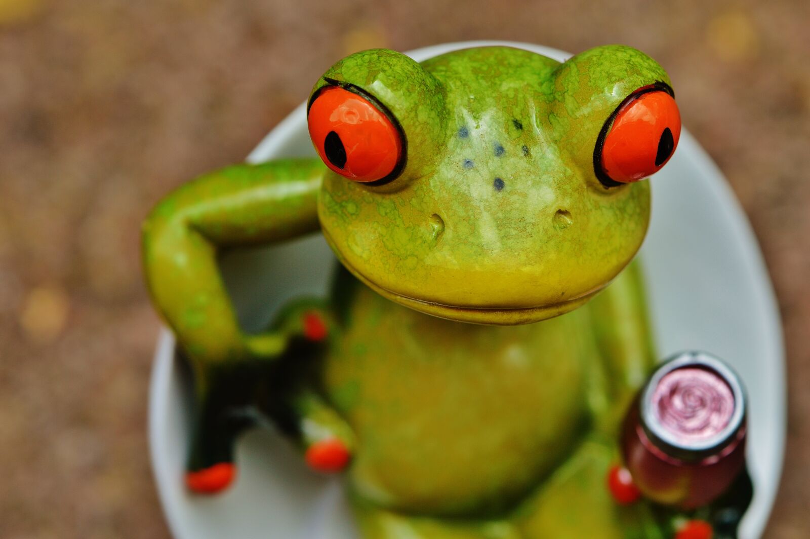 Nikon D3200 sample photo. Frog, chick, funny photography