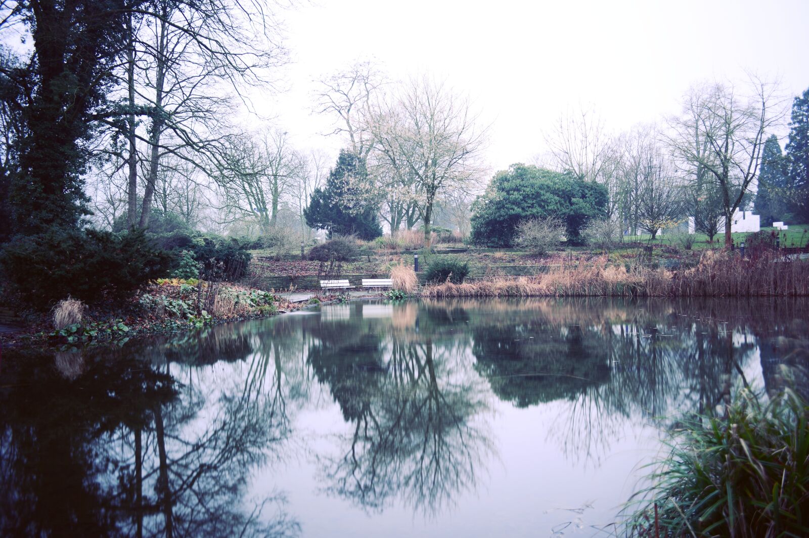 Nikon D3200 sample photo. River, surrounded, by, tress photography