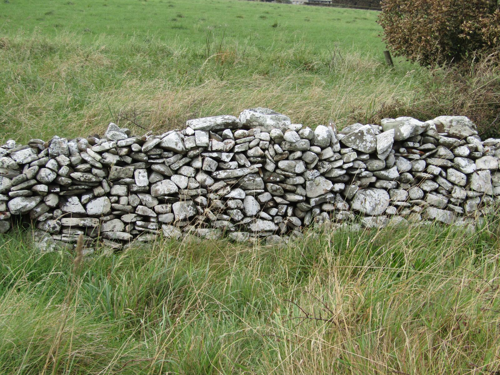 Canon PowerShot SX410 IS sample photo. Wall, stones, ireland photography