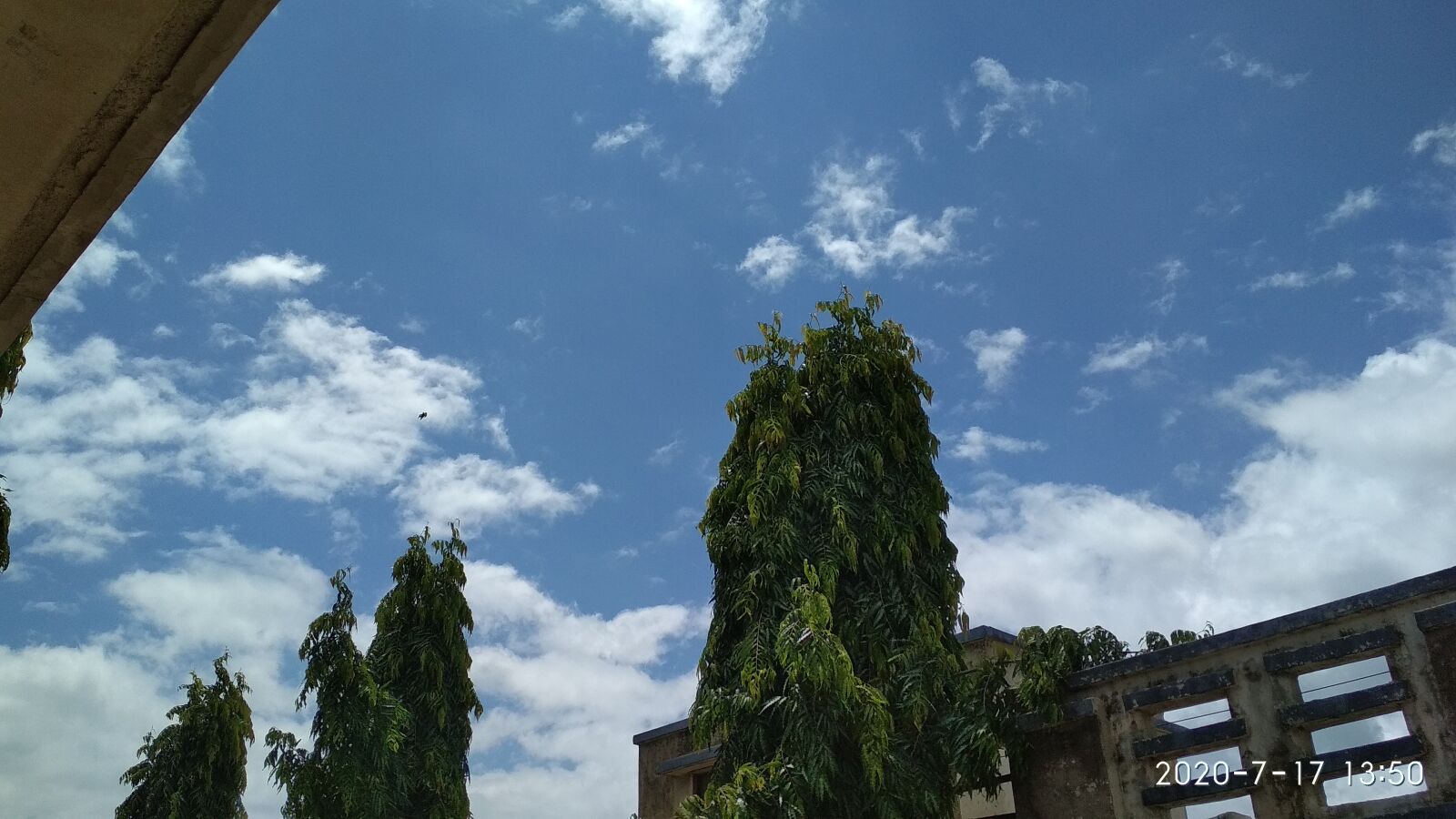 Xiaomi Redmi 4 Pro sample photo. Clouds, tree top, monsoon photography