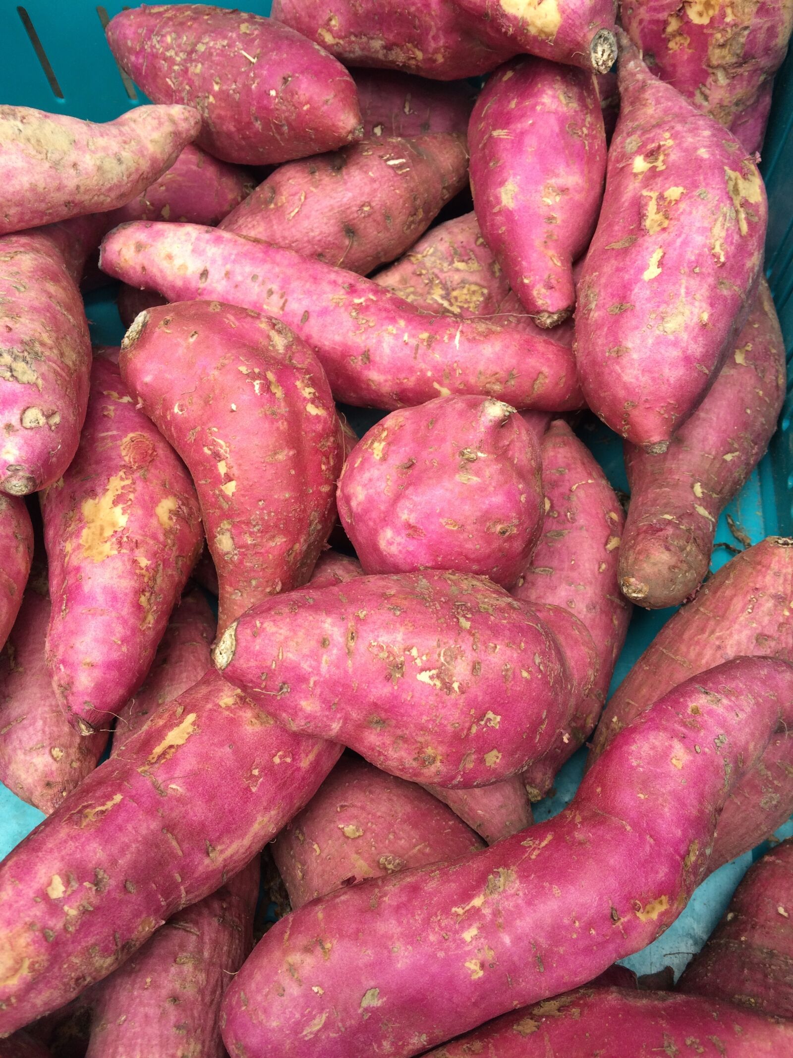 iPhone 5s back camera 4.15mm f/2.2 sample photo. Pink potato, vegetable, market photography