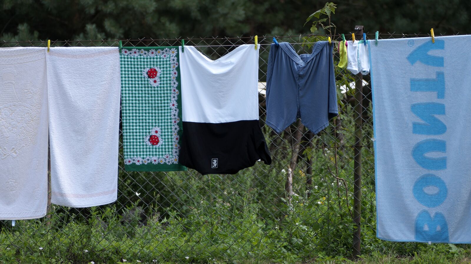Panasonic Lumix DMC-FZ1000 sample photo. Laundry, clothes line, washed photography