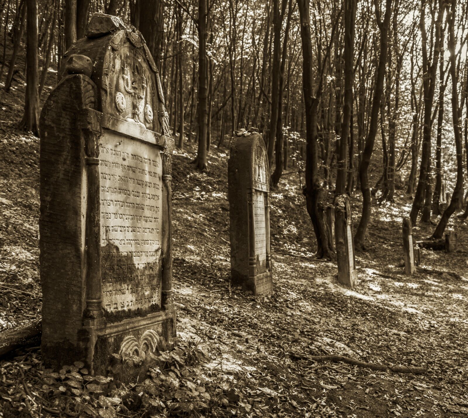 Nikon D5100 sample photo. Poland, kazimierz dolny, monument photography