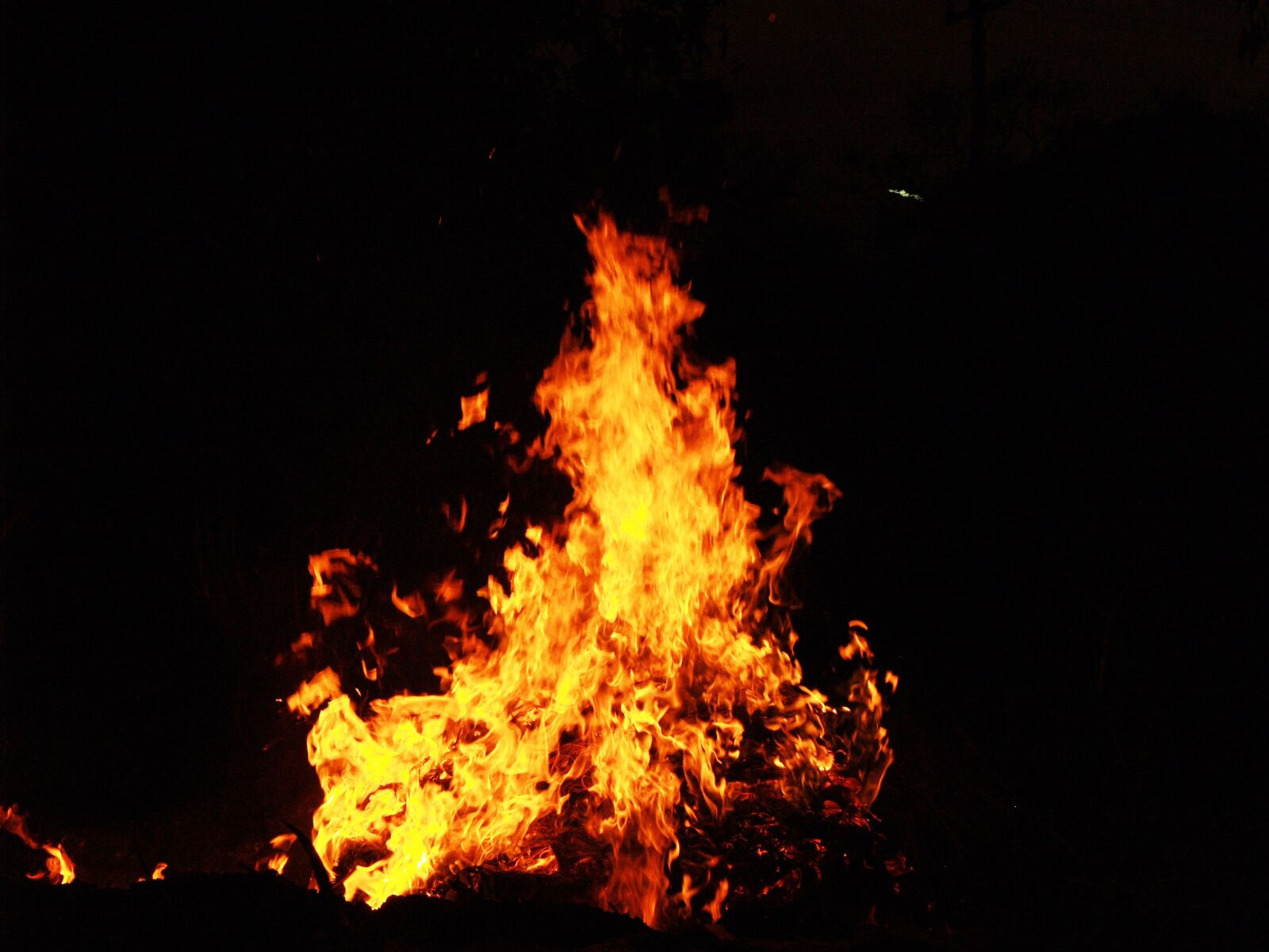 Olympus E-300 (EVOLT E-300) sample photo. Background, blaze, blazing, bonfire photography