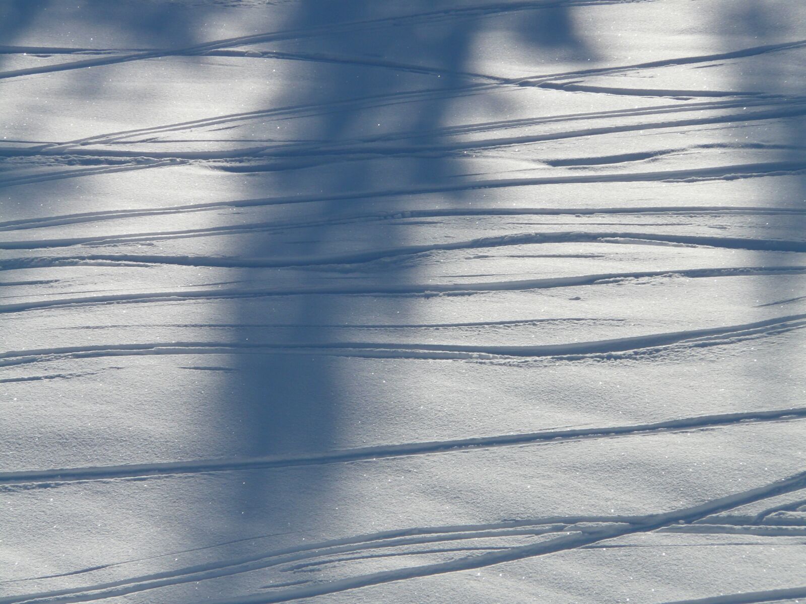 Panasonic DMC-FZ18 sample photo. Traces, winter, snow photography