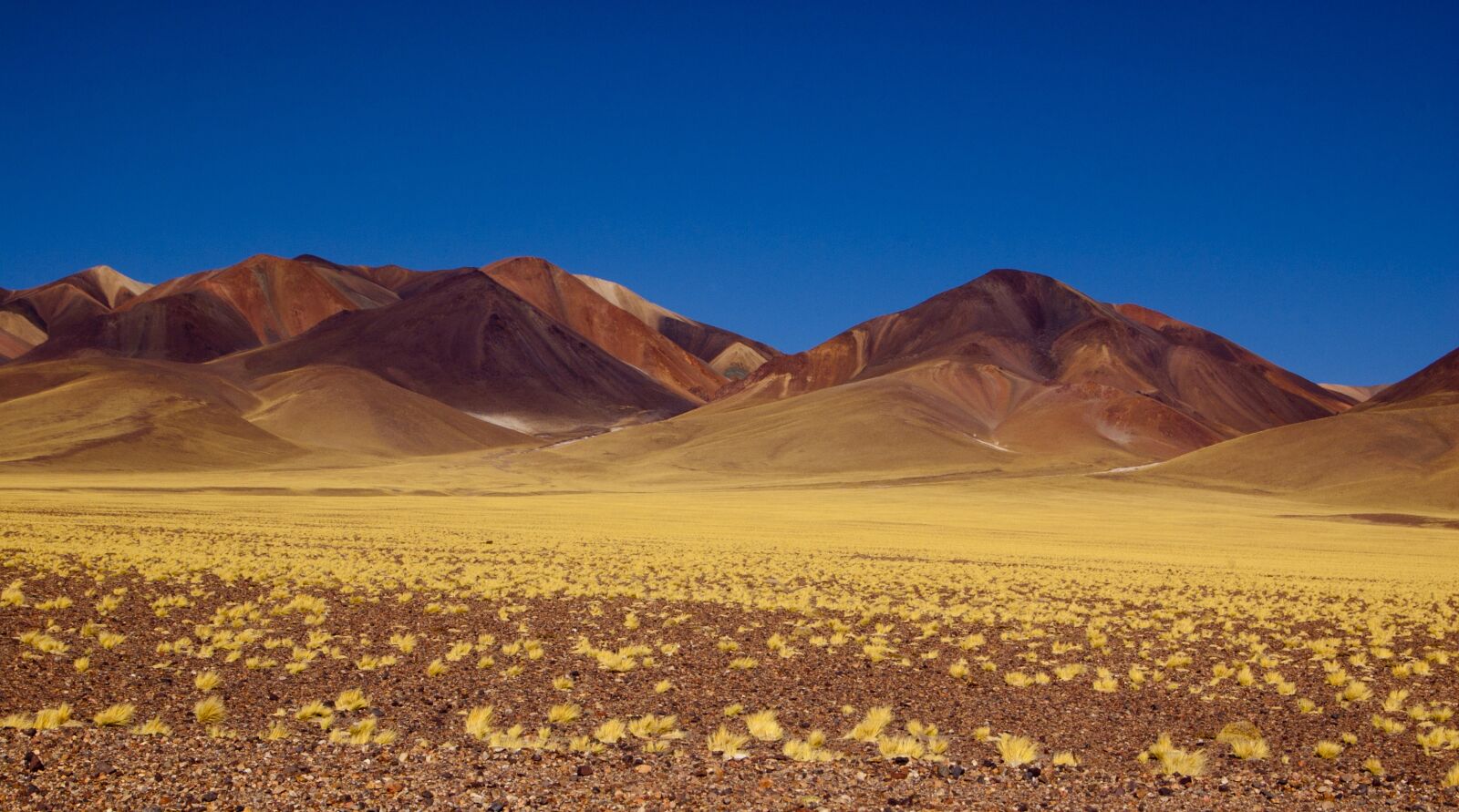 Nikon D40 sample photo. Mountain, argentina, nature photography
