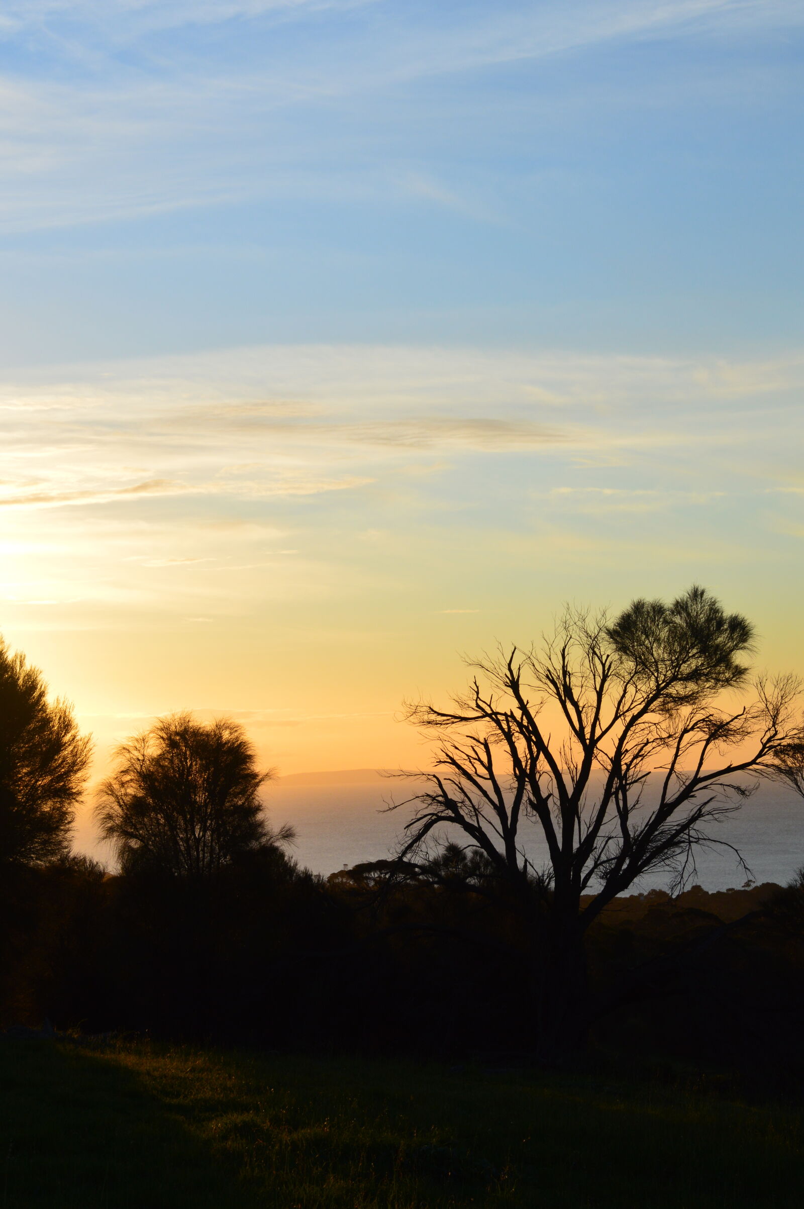 Nikon D3200 sample photo