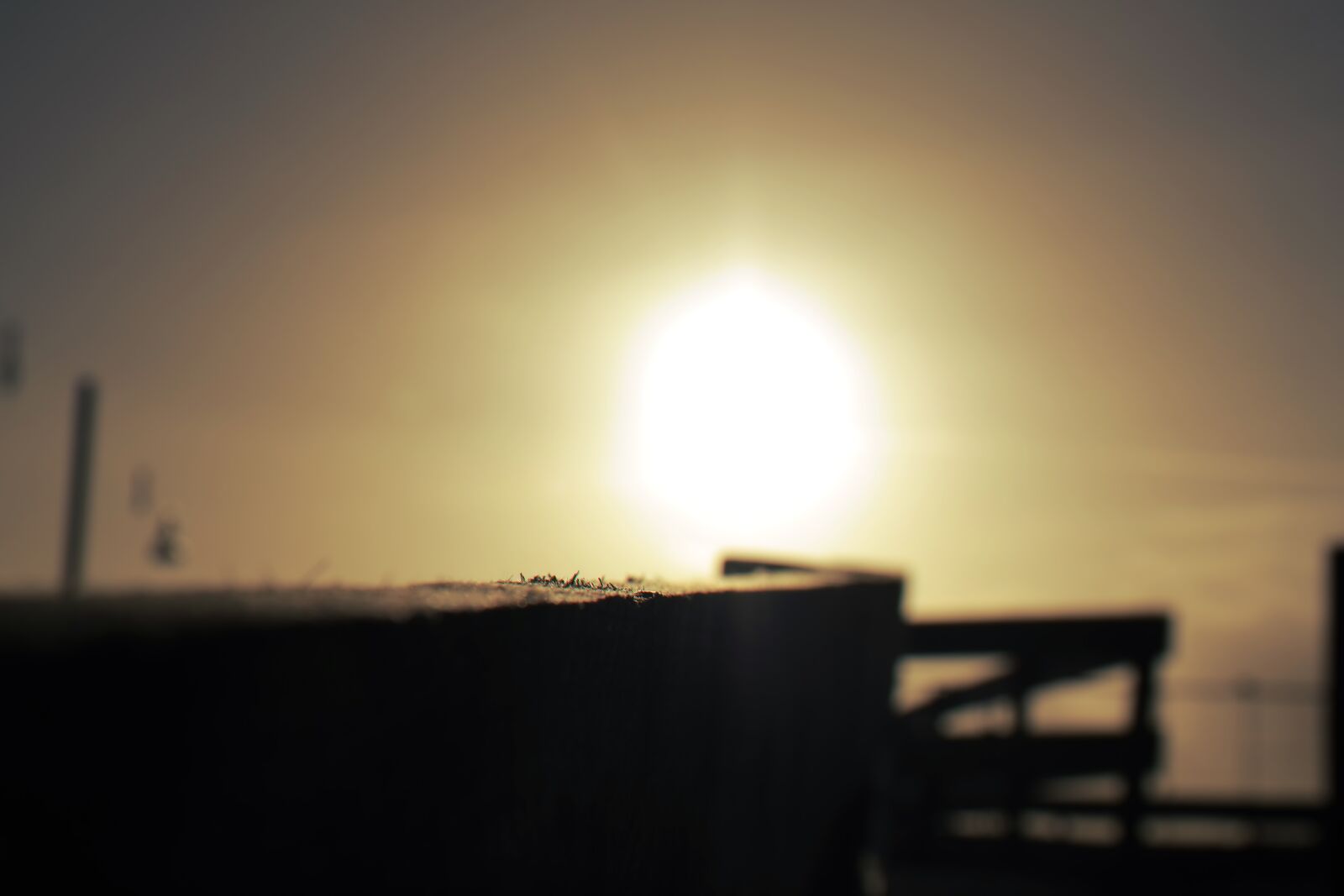 Samsung NX300 sample photo. Bokeh, sunset photography