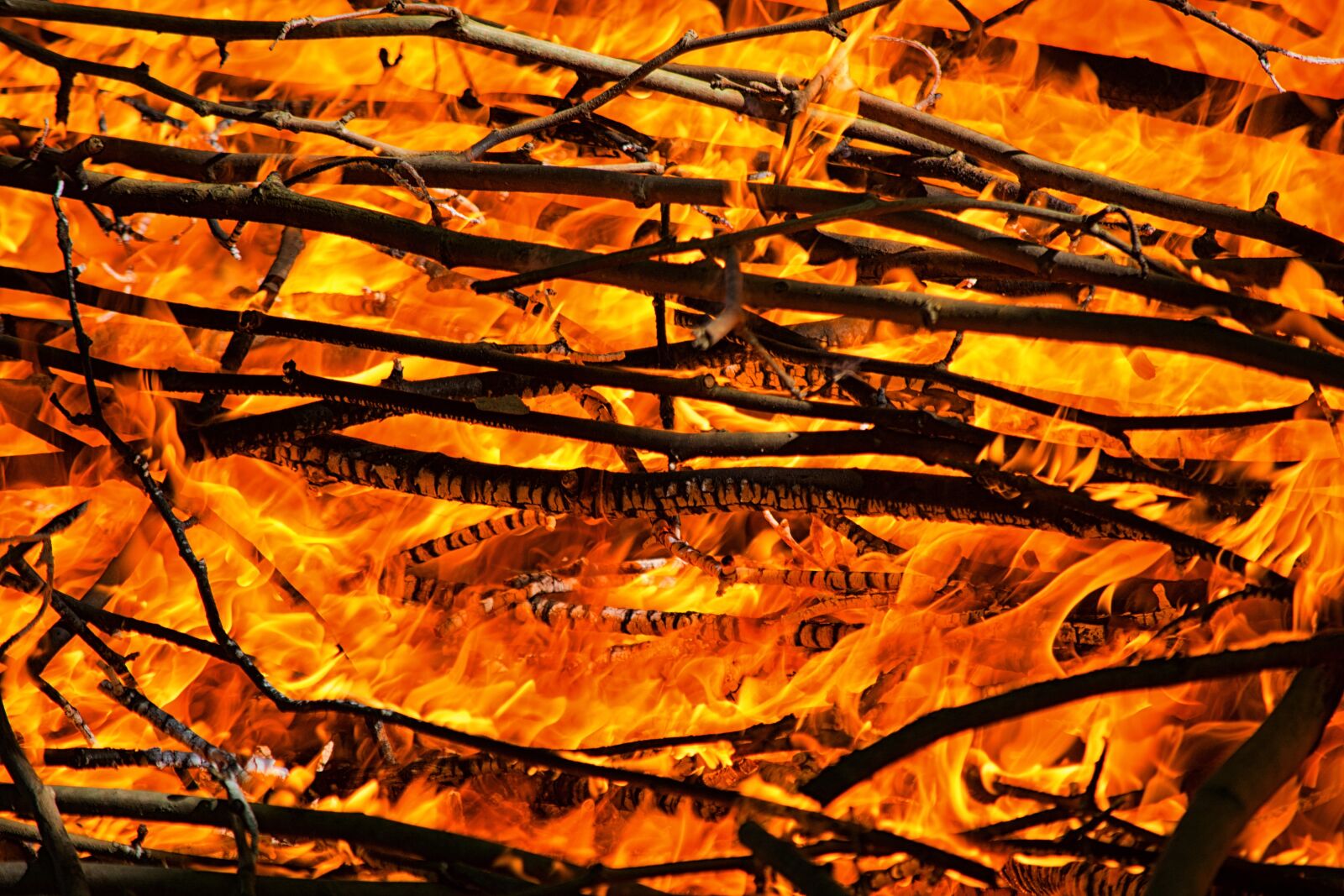Nikon D5200 sample photo. Fire, flames, campfire photography