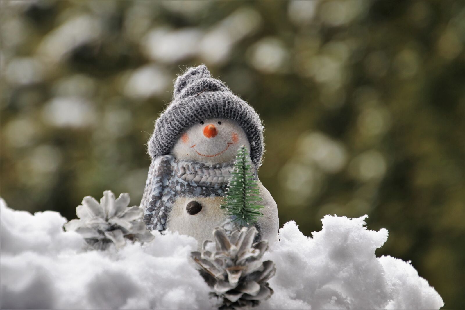 Canon EOS 80D sample photo. Snowman, bokeh, white photography
