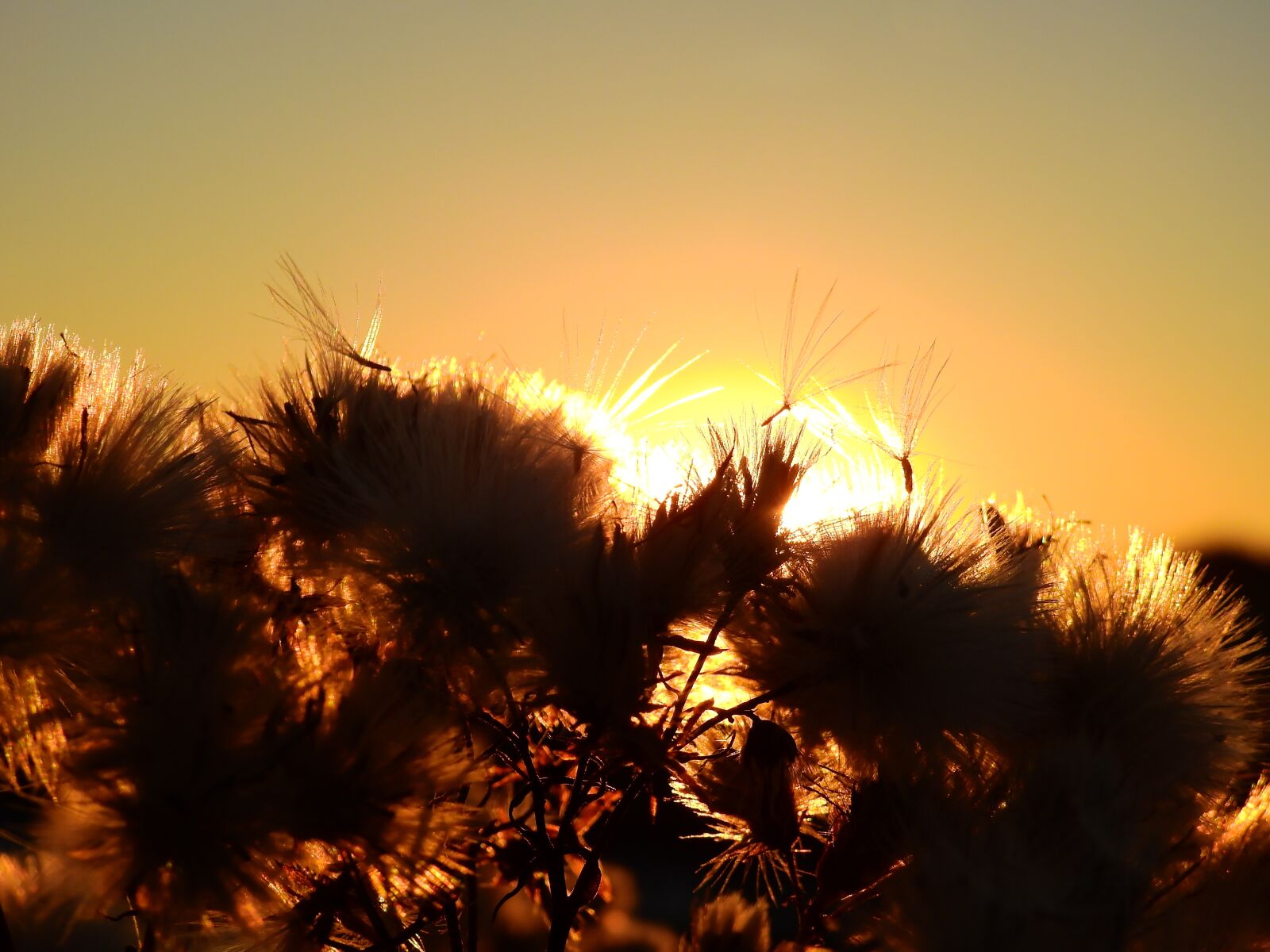 Nikon Coolpix P900 sample photo. Sunrise, sunset, north sea photography
