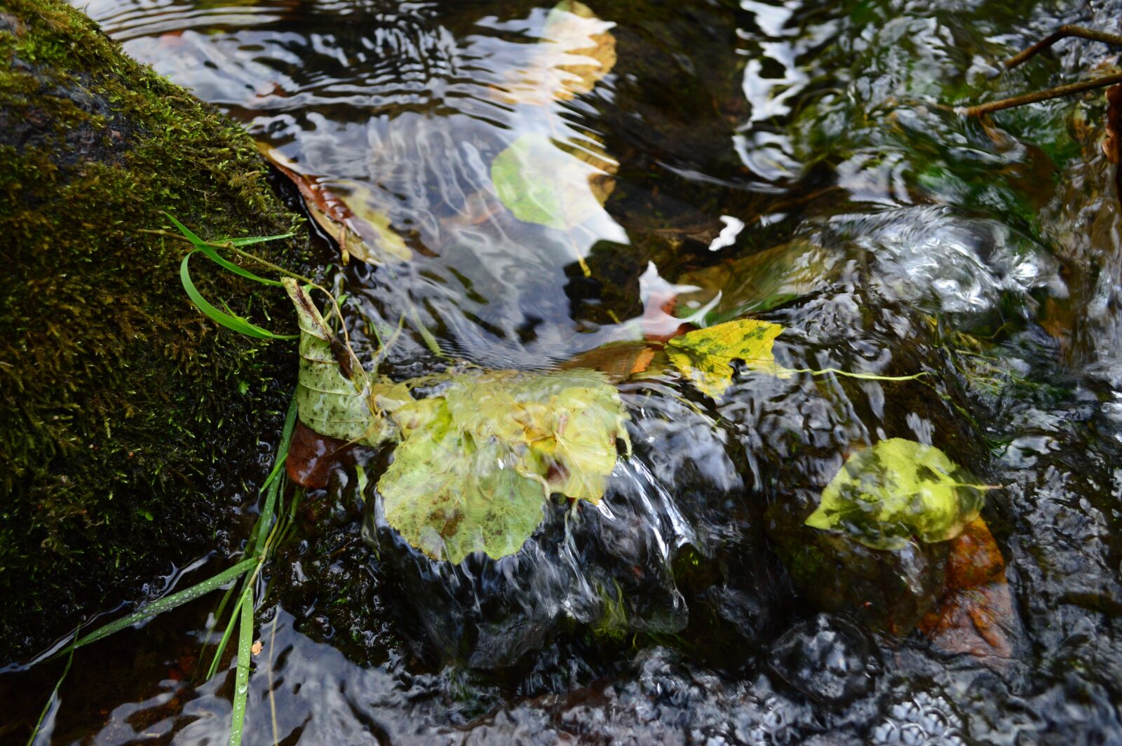 Nikon D3200 sample photo. River, water, nature photography