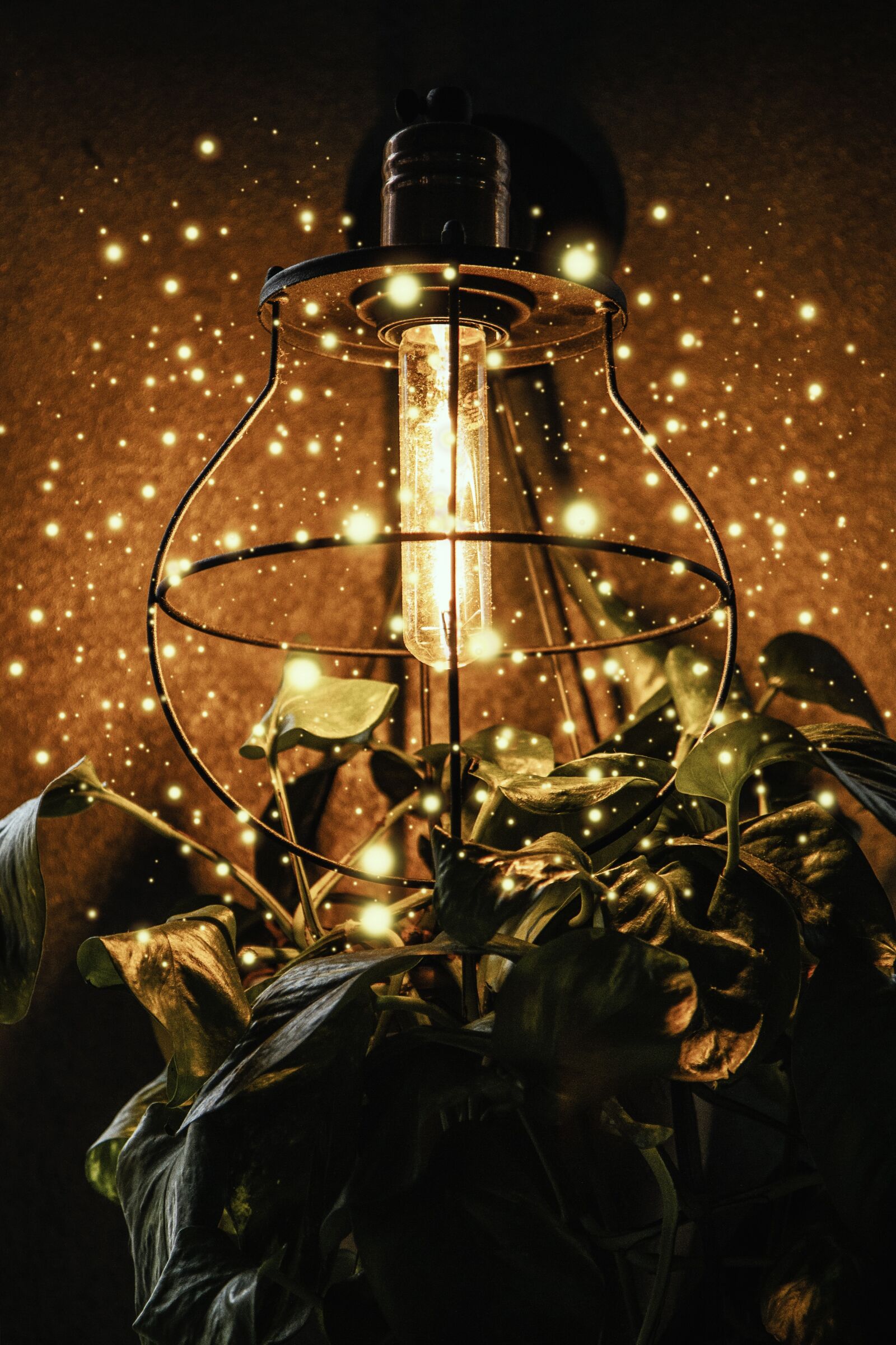 Canon EOS 7D sample photo. Magic, moment, lamp photography