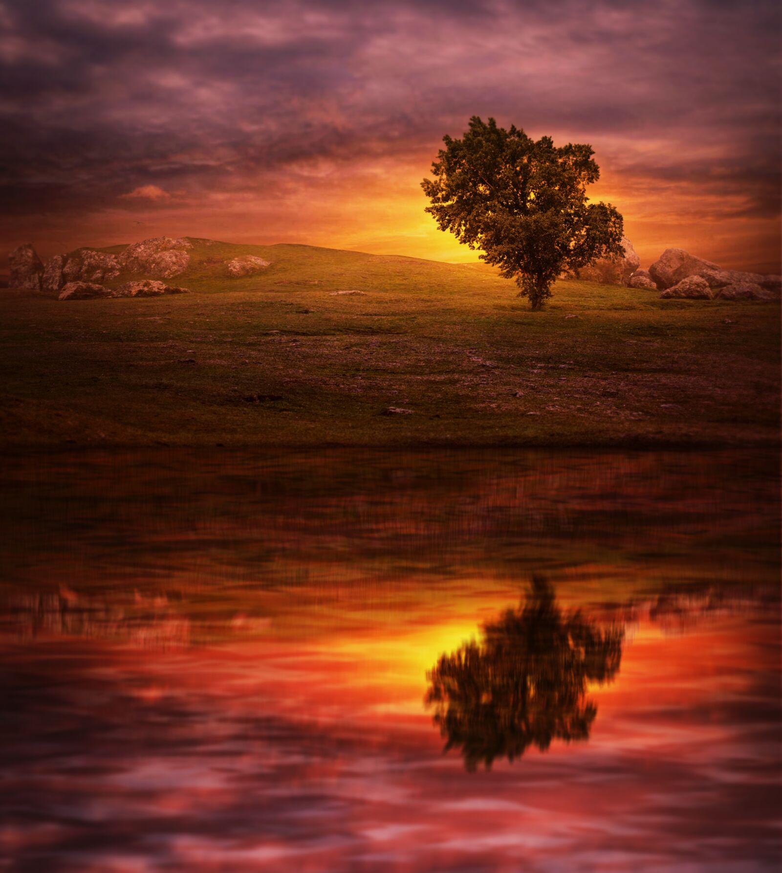 Nikon D3300 sample photo. Sunset, tree, lake photography