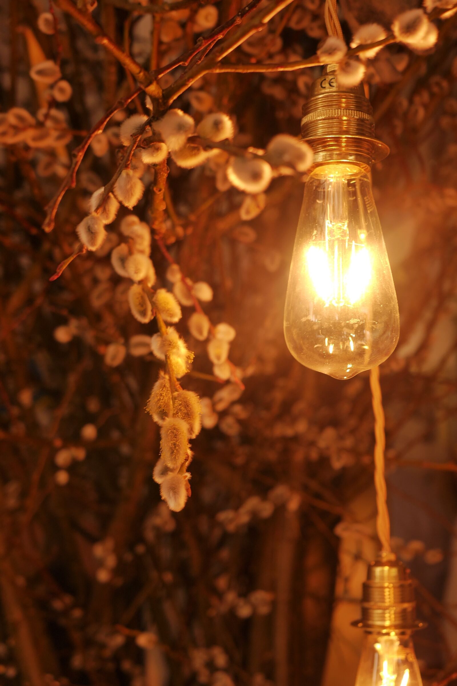 Panasonic Lumix DMC-G6 sample photo. Decoration, light bulb photography
