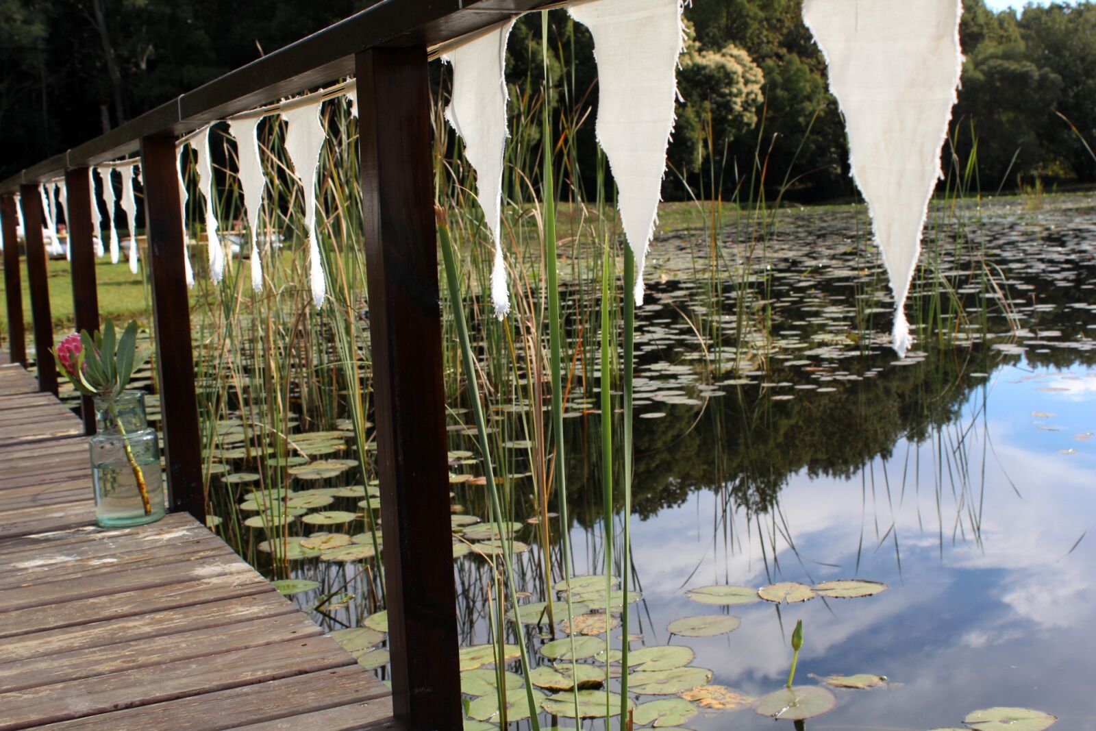 Canon EOS 600D (Rebel EOS T3i / EOS Kiss X5) sample photo. Water, nature, wood photography