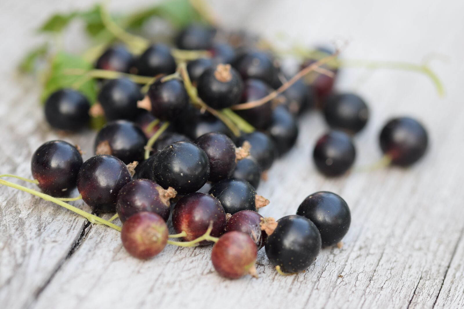 Nikon D5300 sample photo. Black berries, fruit, kitchen photography