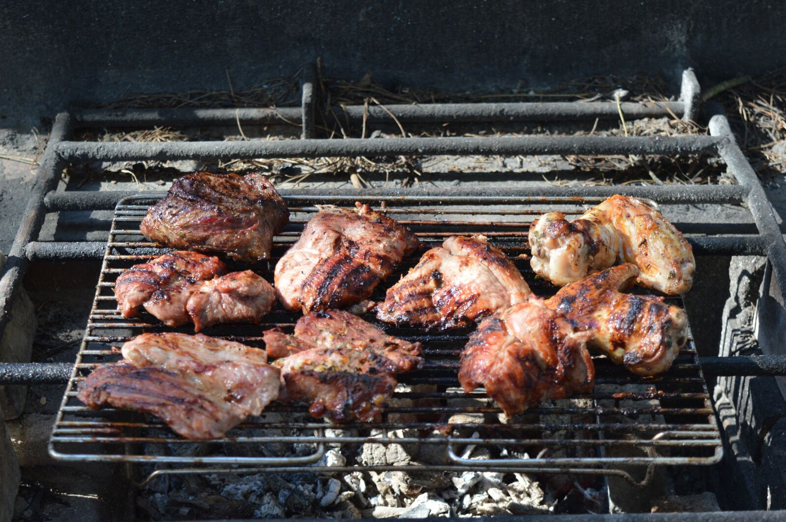 Nikon D3200 sample photo. Meat, nature, shish kebab photography