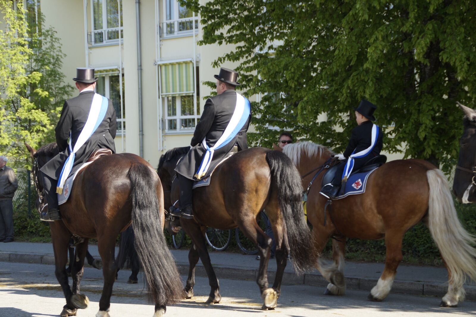 Sony SLT-A58 sample photo. Procession, equestrian procession, vineyard photography