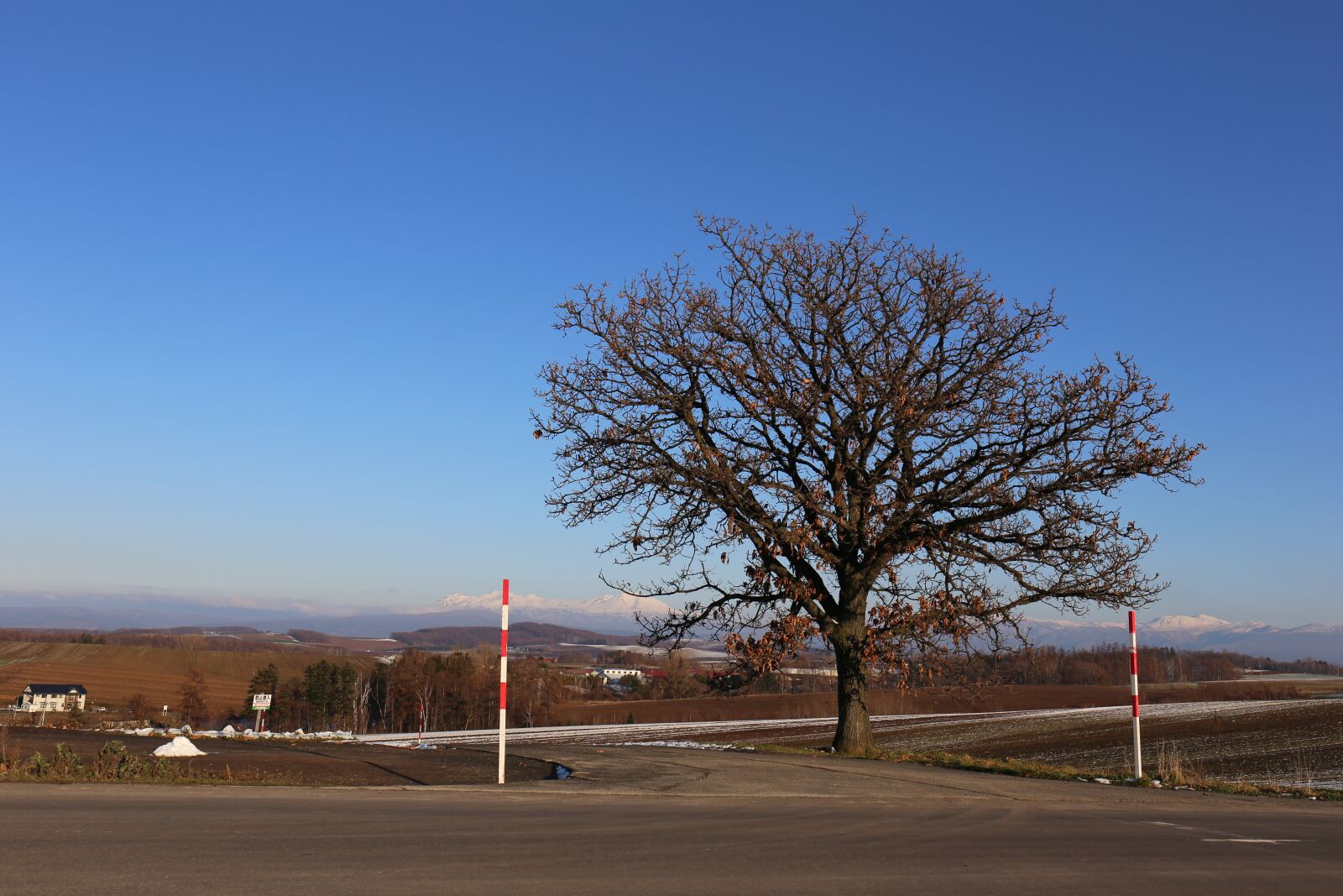 Canon EF 24-70mm F4L IS USM sample photo. Hokkaido, book, biei photography