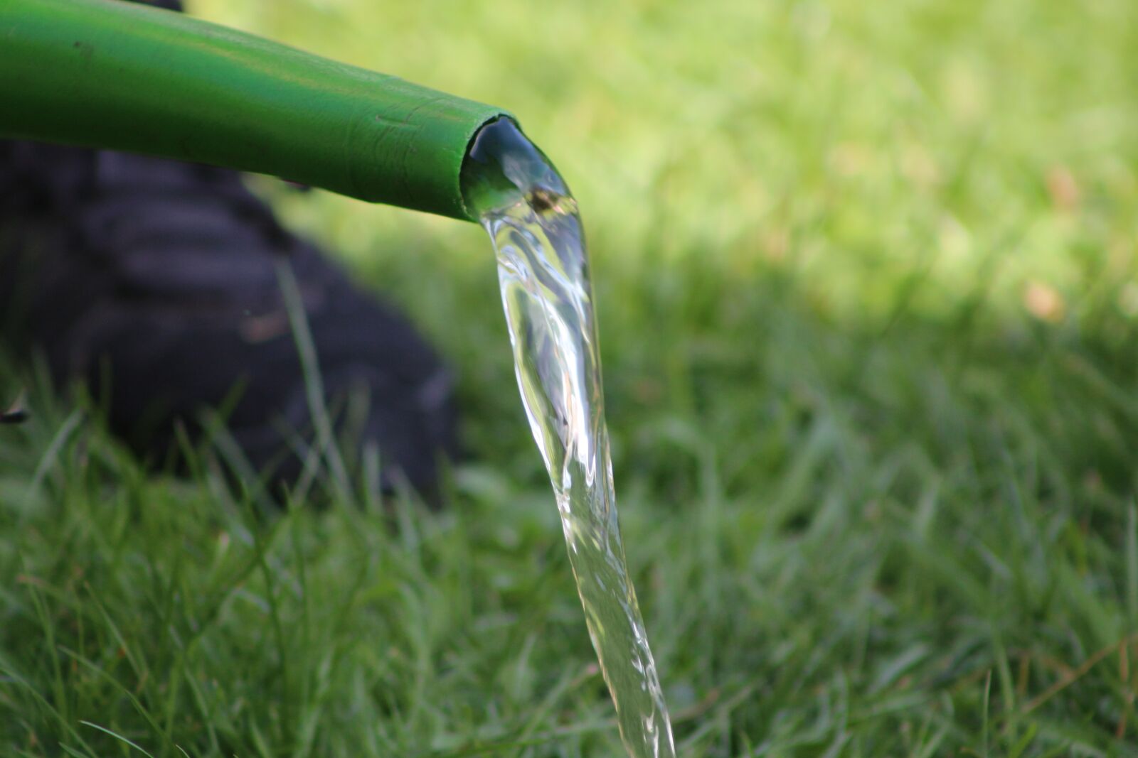 Canon EF75-300mm f/4-5.6 sample photo. Watering can, water, gardening photography