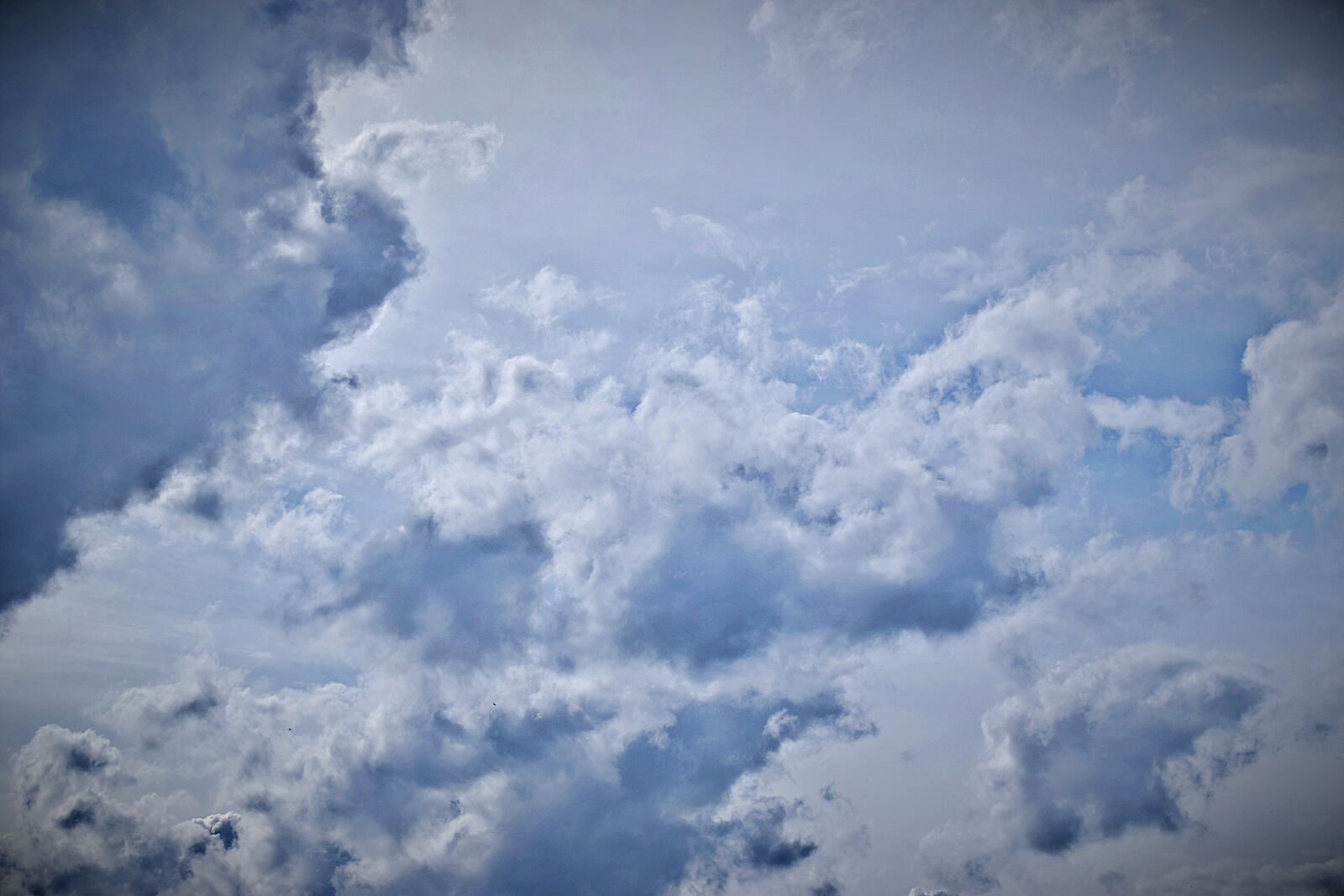 Nikon D5600 sample photo. Clouds, blue, white photography