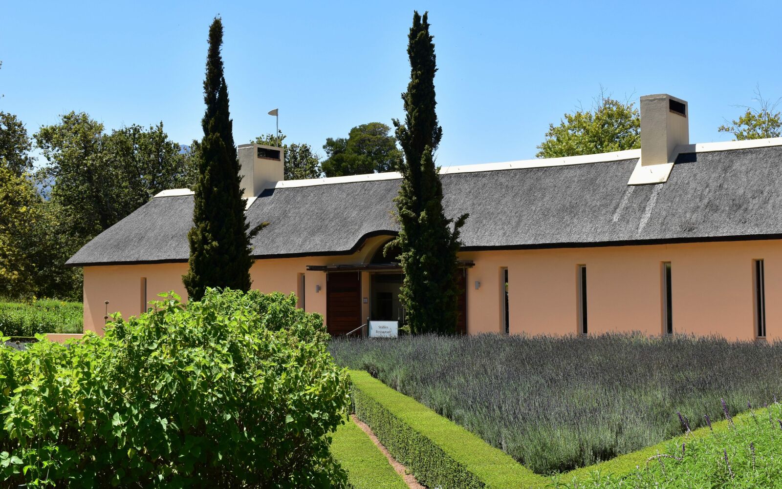 Nikon D5500 sample photo. Wine farm, western cape photography