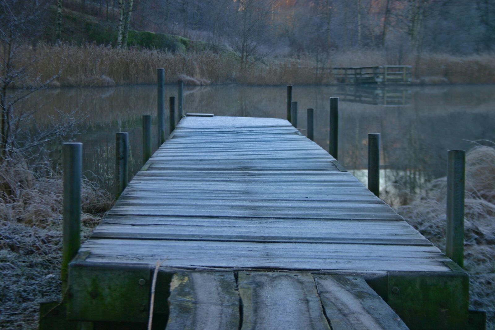 Canon EOS 300D (EOS Digital Rebel / EOS Kiss Digital) sample photo. Bridge, frost, cold photography