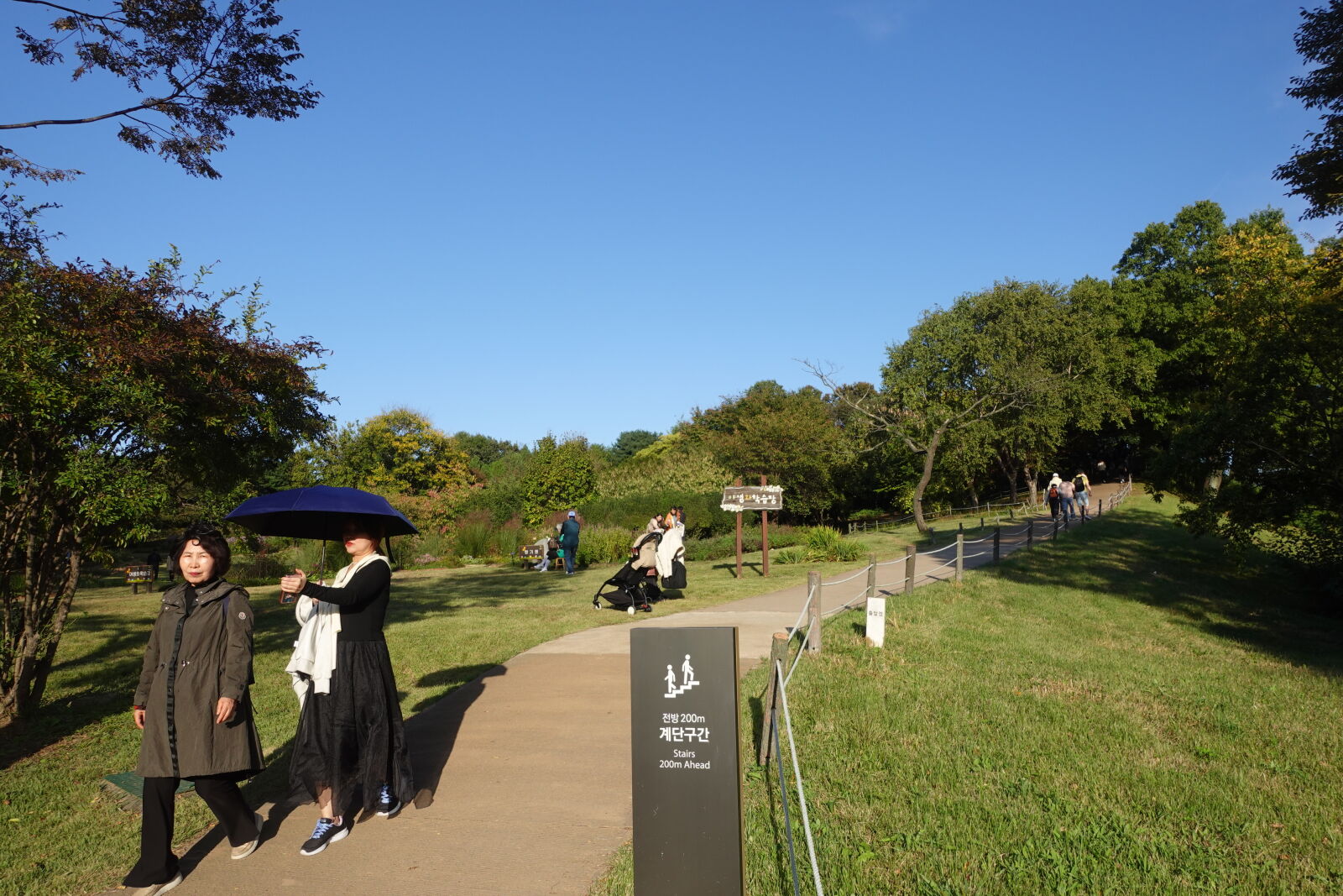 Sony ZV-1 sample photo