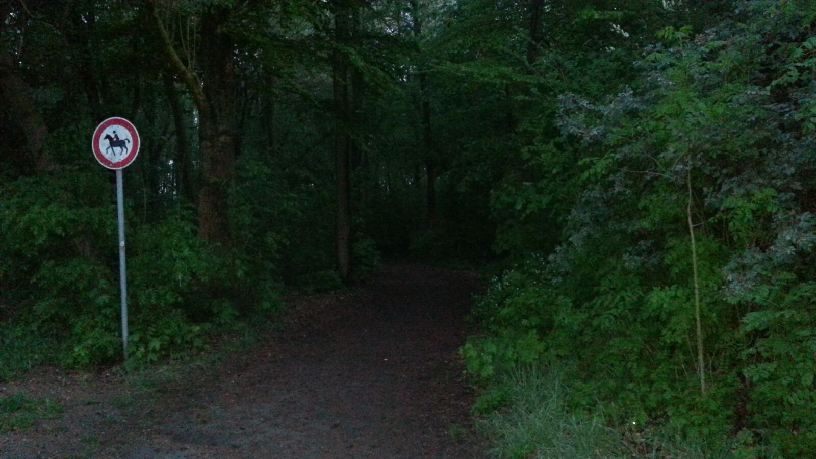 Samsung Galaxy Note2 sample photo. Flower mountain, cologne, forest photography