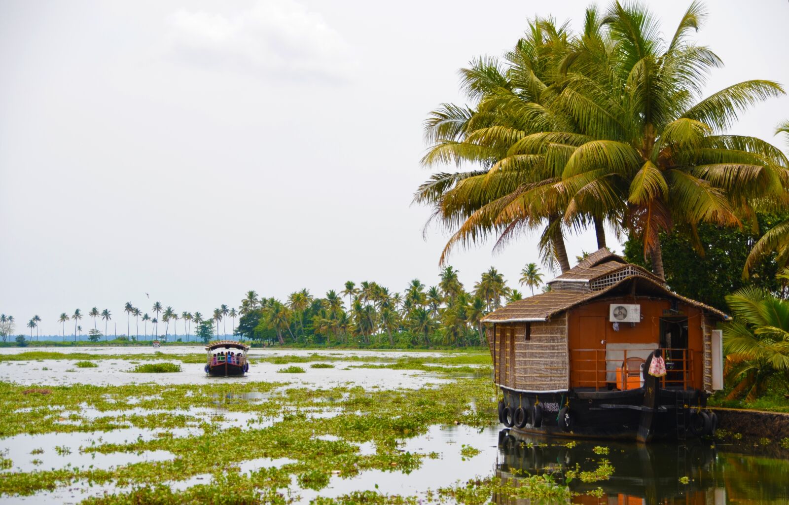 Nikon D5100 sample photo. Backwaters, india, cochin photography