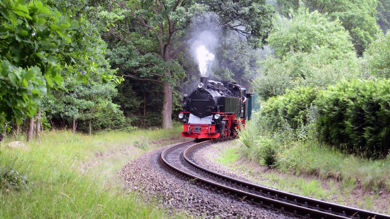 Canon PowerShot SX240 HS sample photo. Rasender roland, railway, narrow photography