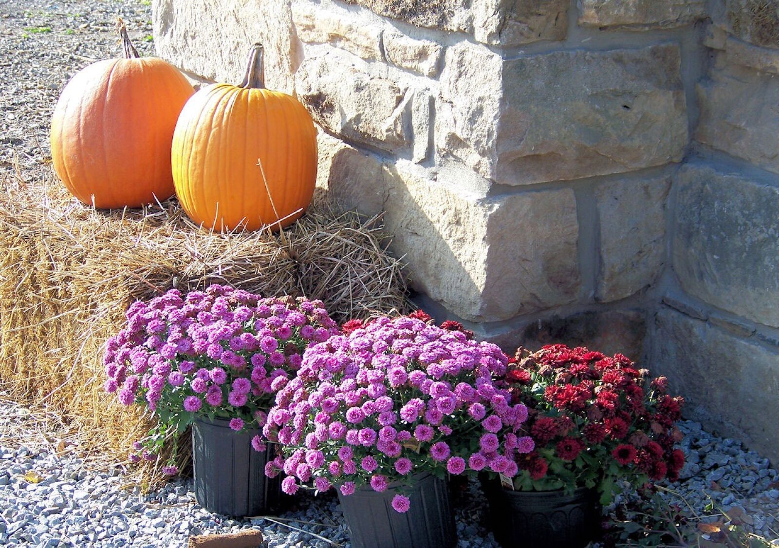 Kodak Z612 ZOOM DIGITAL CAMERA sample photo. Nature, seasons, still photography