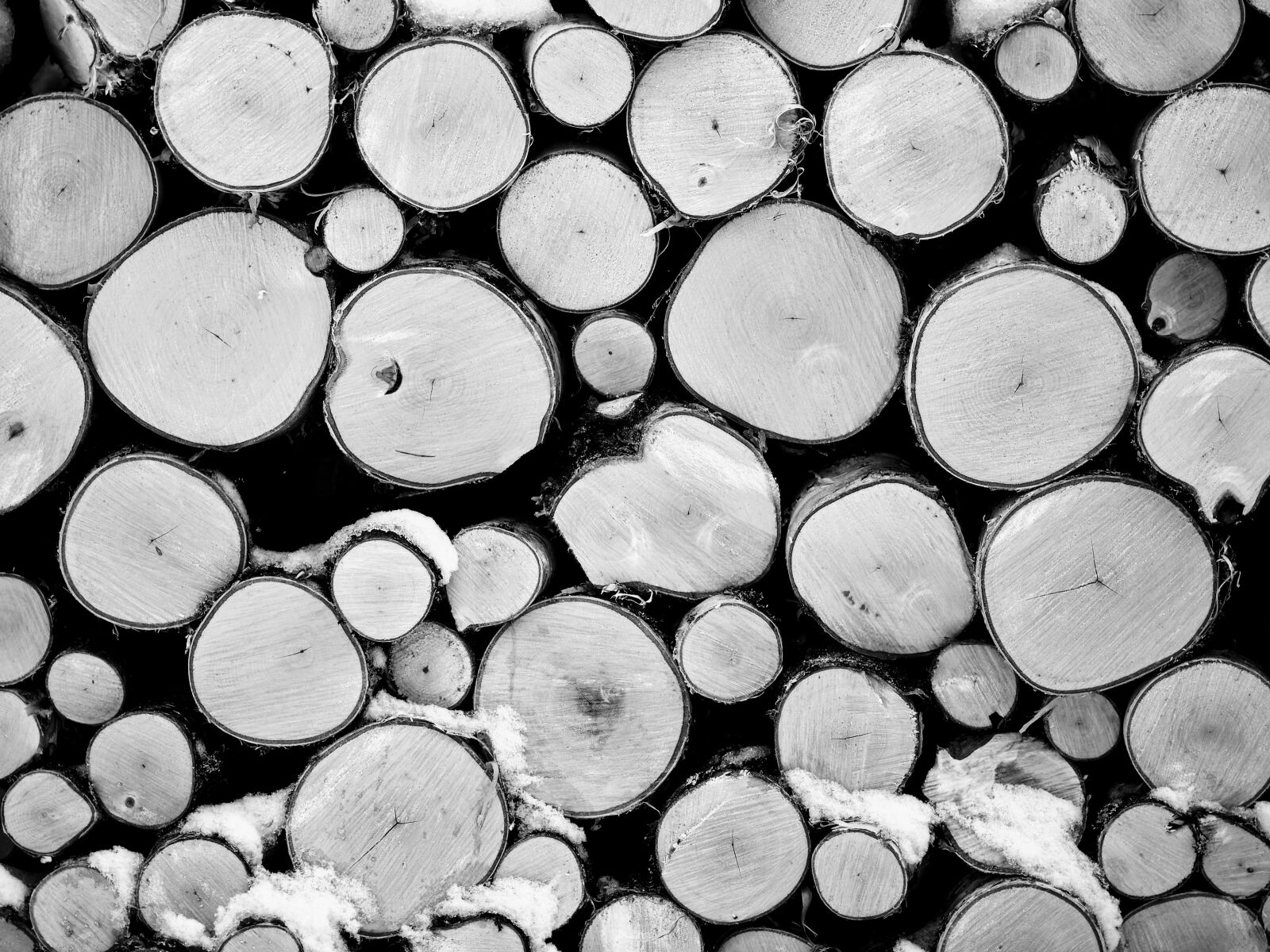 Olympus M.Zuiko Digital 45mm F1.8 sample photo. Log, wood, finland photography