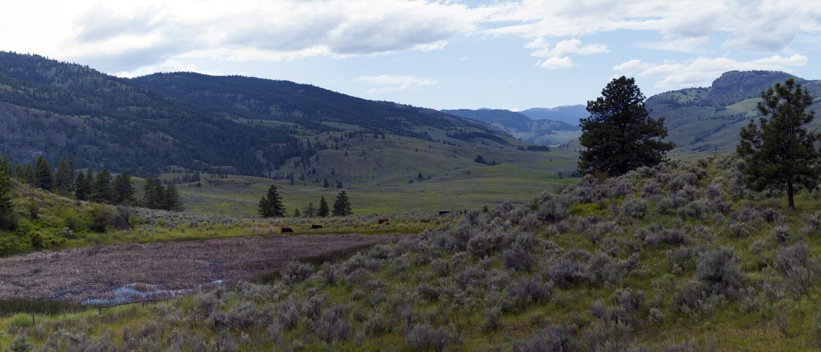 Nikon D50 sample photo. Landscape, arid, grassland photography