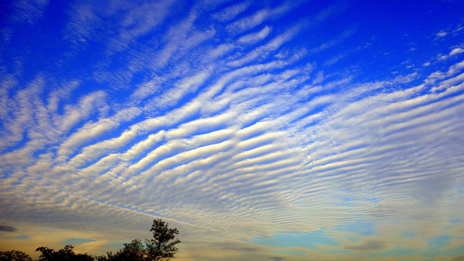 Sony Cyber-shot DSC-RX100 sample photo. Sky, cloud, blue photography