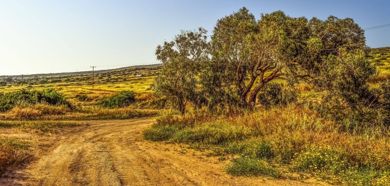 Nikon D3300 sample photo. Dirt road, tree, landscape photography