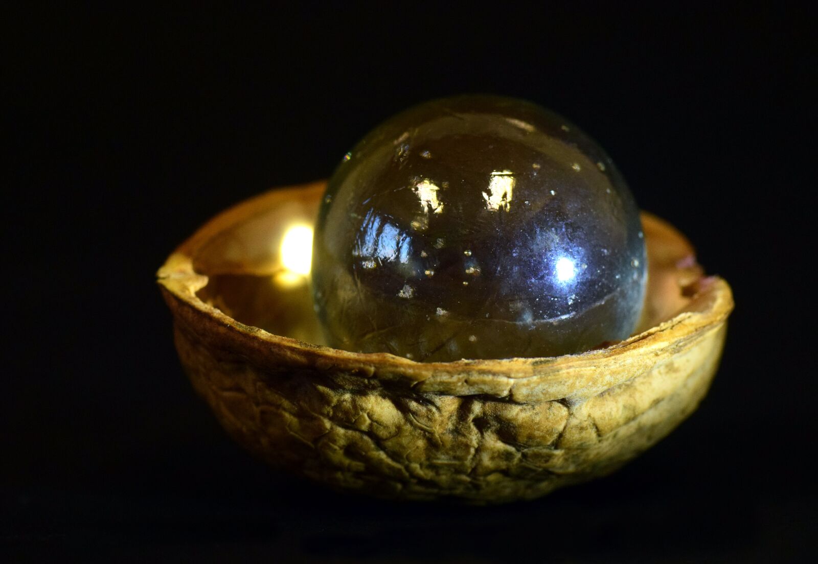 Nikon D3300 sample photo. Marble, nutshell, walnut shell photography