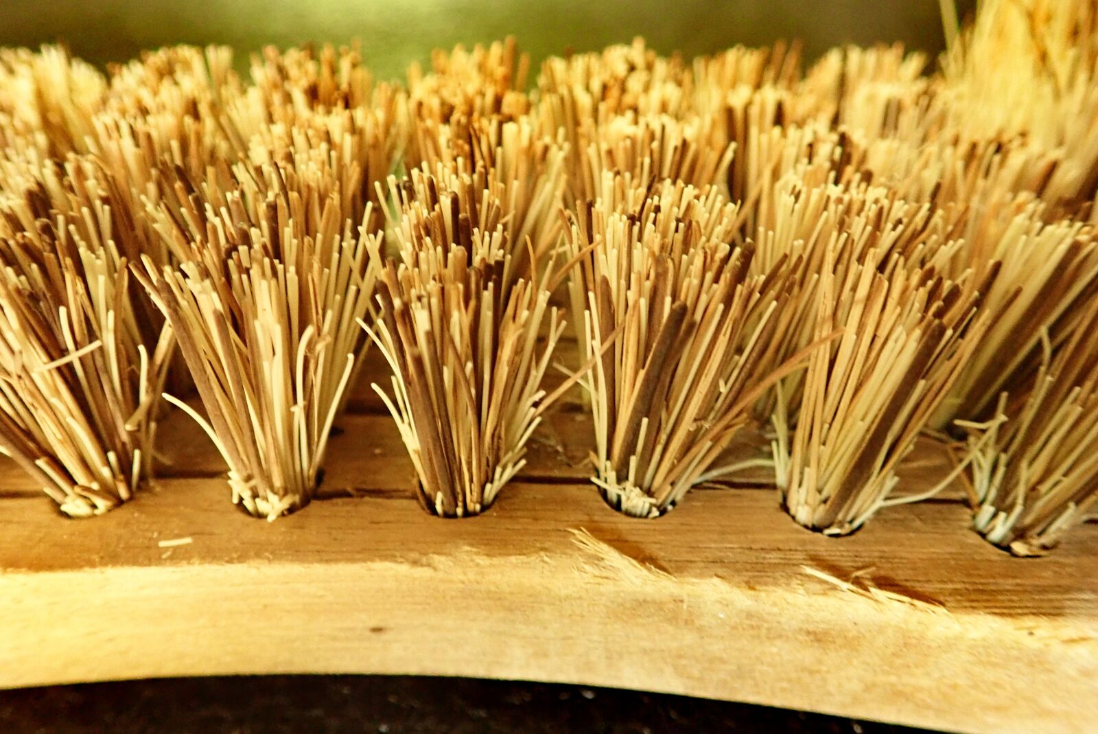 Olympus TG-5 sample photo. Brush, scrubbing, bristles photography