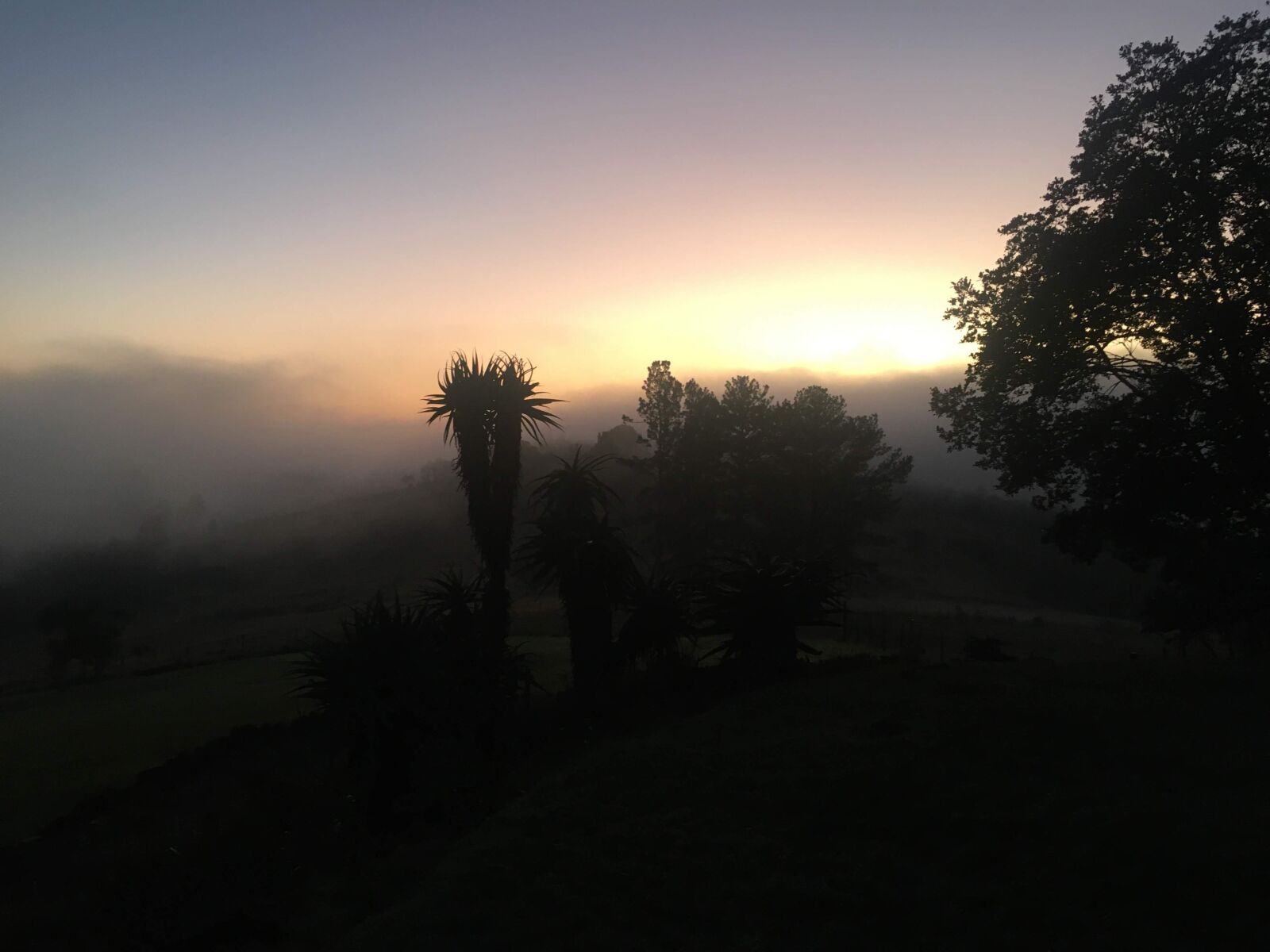 Apple iPhone 6s sample photo. Sunrise, africa, fog photography