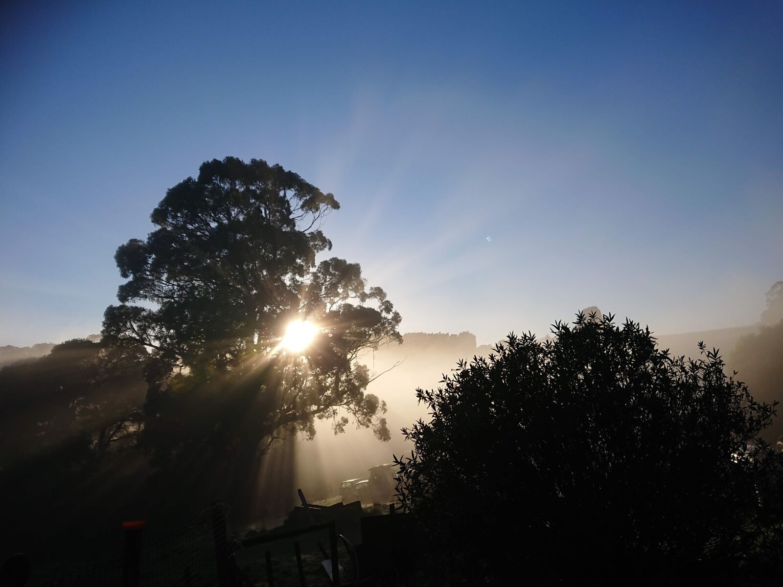 Sony Xperia XZ Premium sample photo. Sunrise, mist, landscape photography
