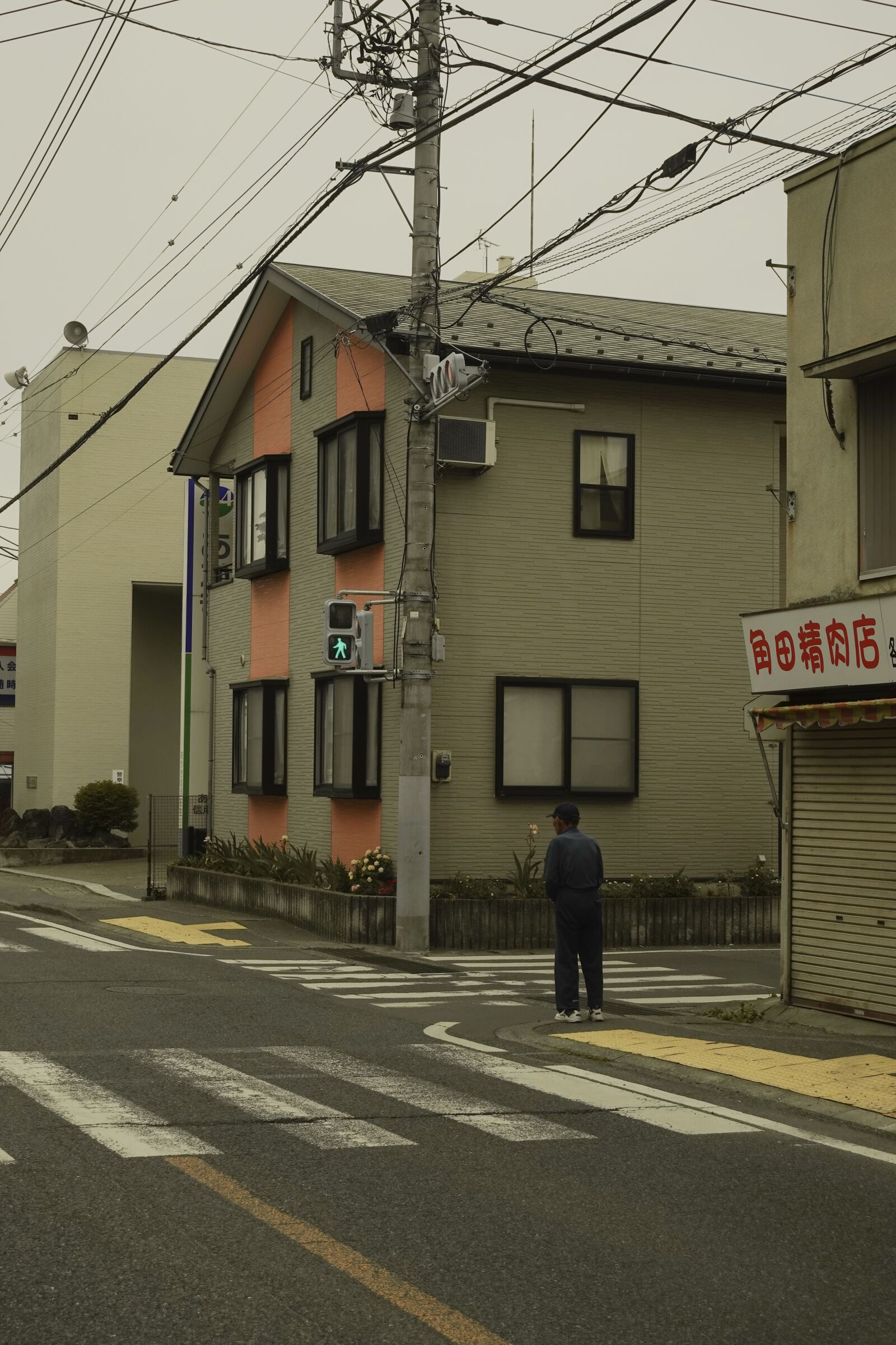 Sony ZV-1 sample photo