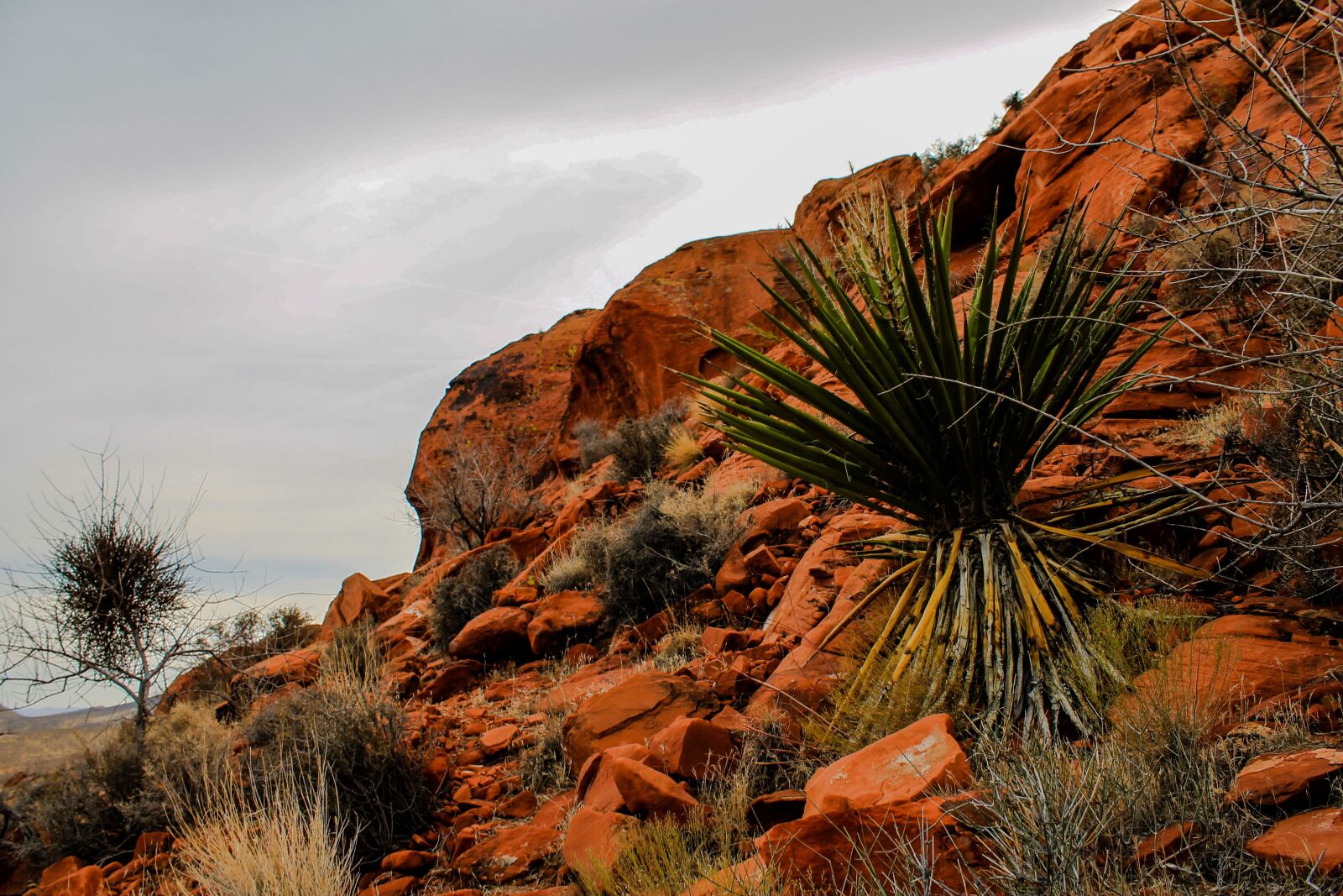 Canon EOS 1100D (EOS Rebel T3 / EOS Kiss X50) sample photo. Utah, red rocks, red photography