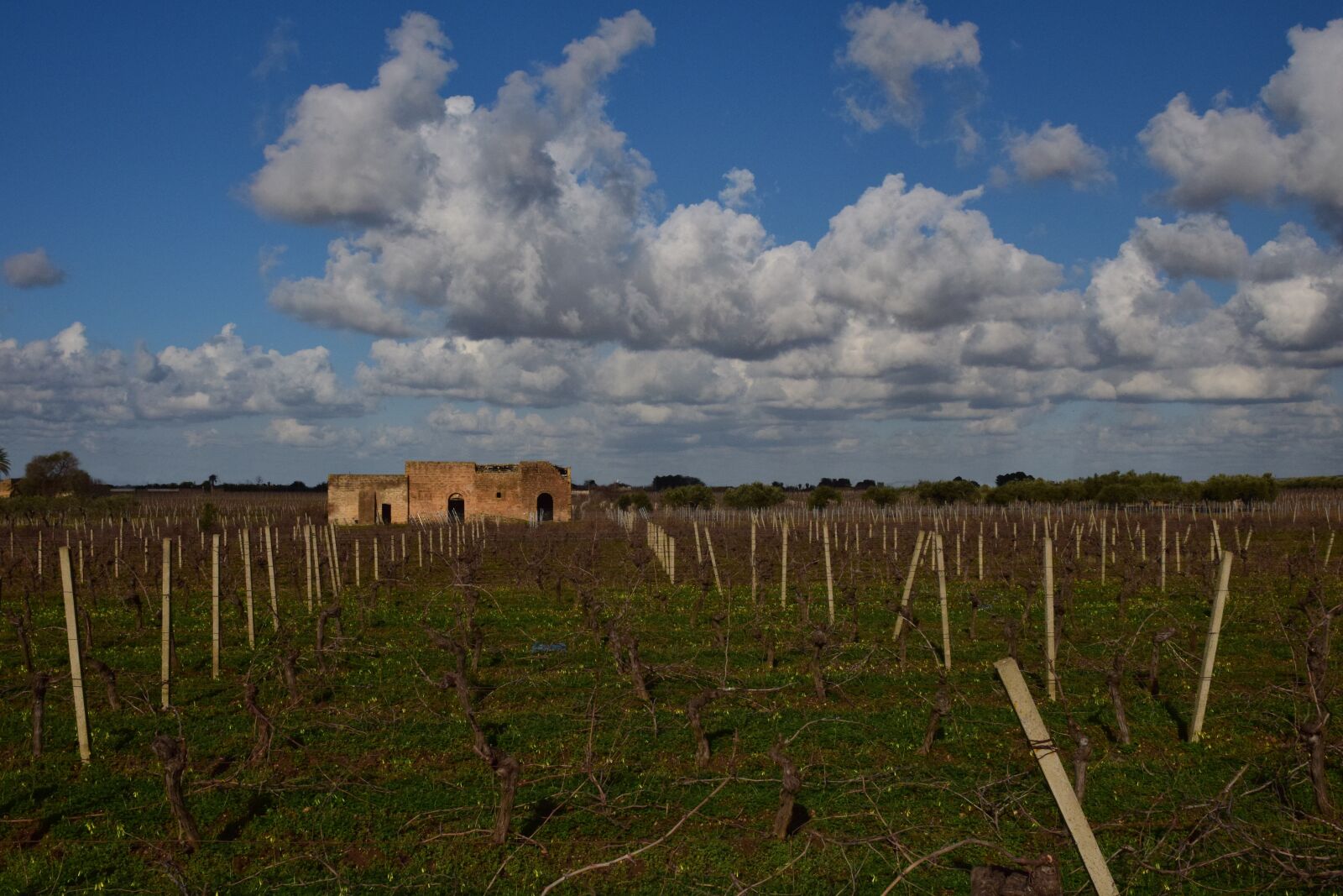 Nikon D3300 sample photo. Agriculture, landscape, nature photography