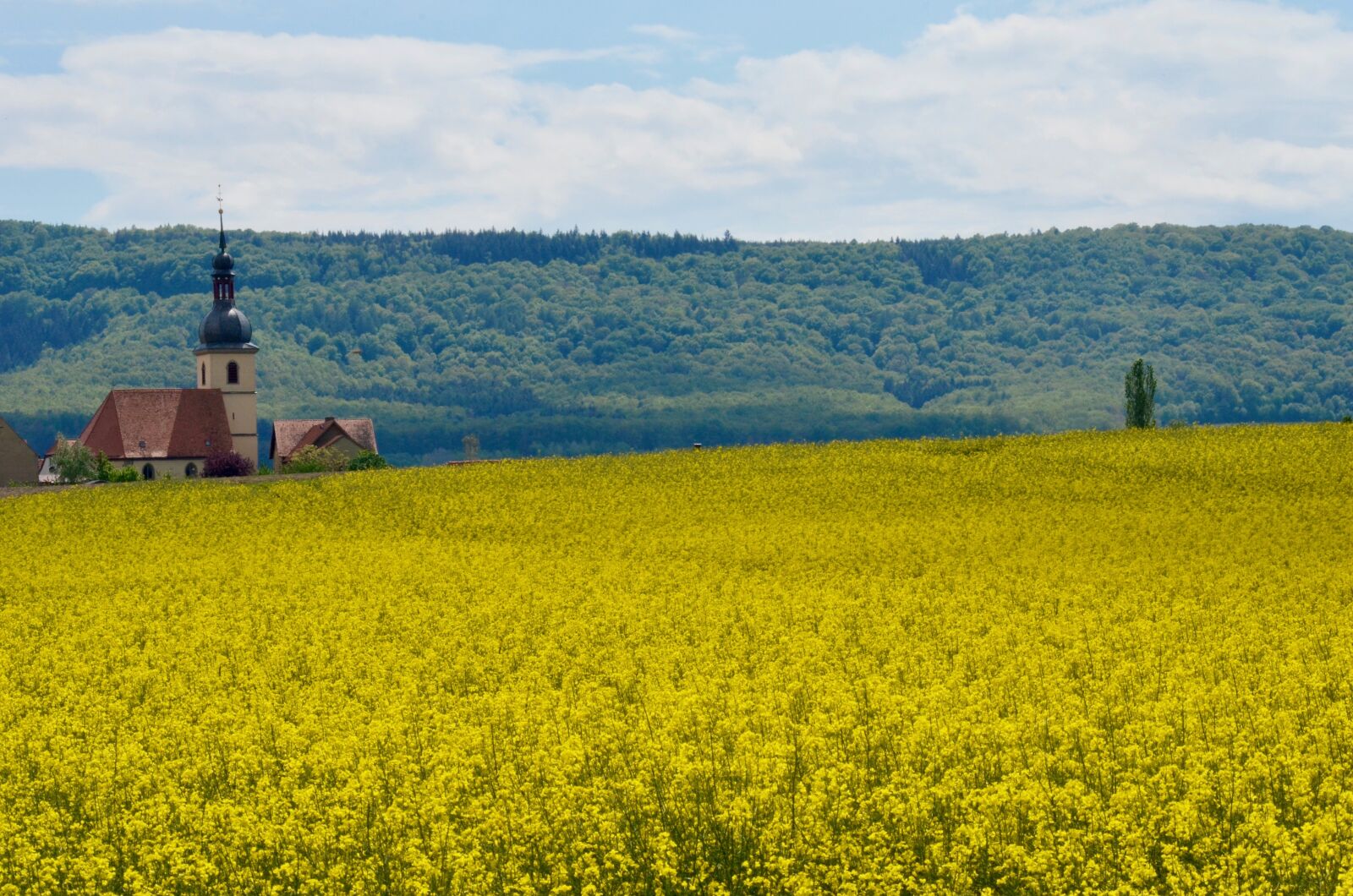 Nikon D5100 sample photo. Village church, steeple, village photography