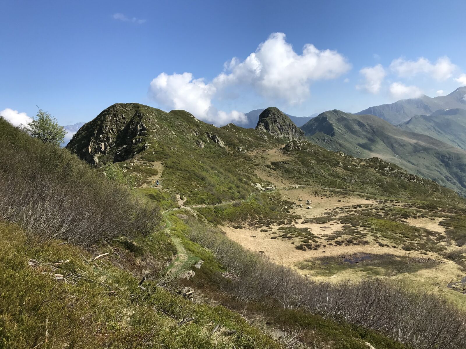 iPhone 7 back camera 3.99mm f/1.8 sample photo. The panorama from the photography